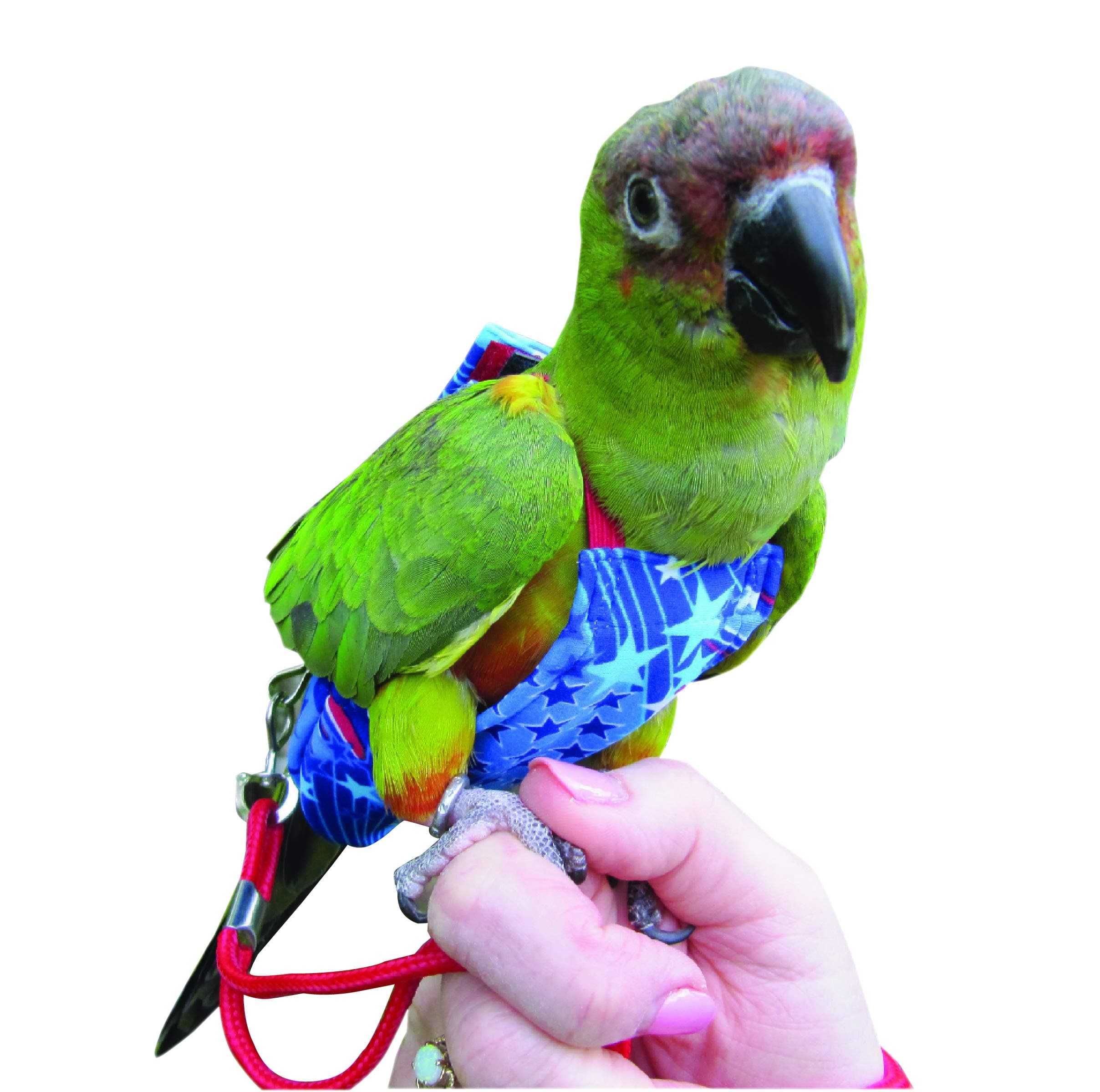 FeatherWear FlightSuits Small Bird Diaper w/Lanyard Plus Flightliners (Fireworks)