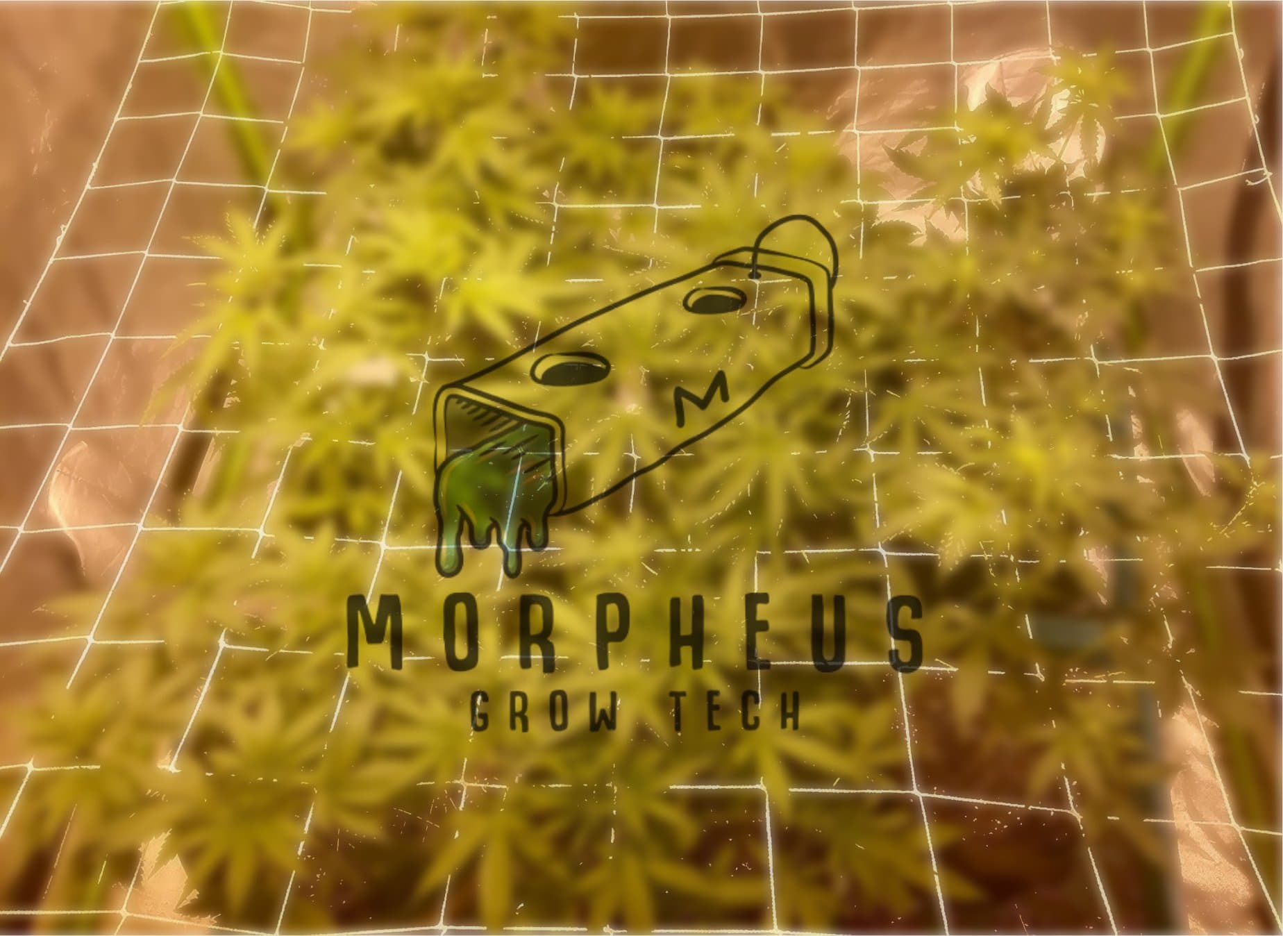 Morpheus Grow Tech Trellis Netting/Scrog Net For 5'x5' Grow Tents with 4 Zip-ties& 3 Plant Labels