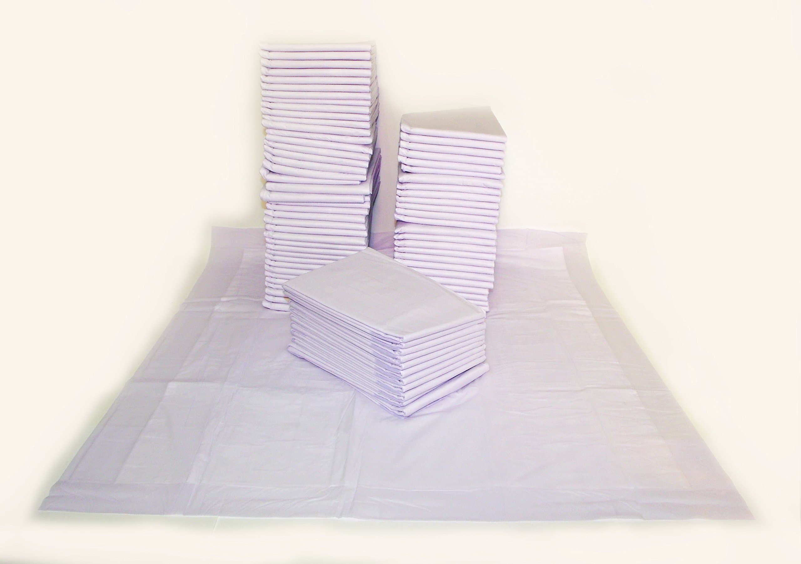 Best Value 80 Count Scented Large Puppy Pads 30 inches x 30 inches by Gardner Pet