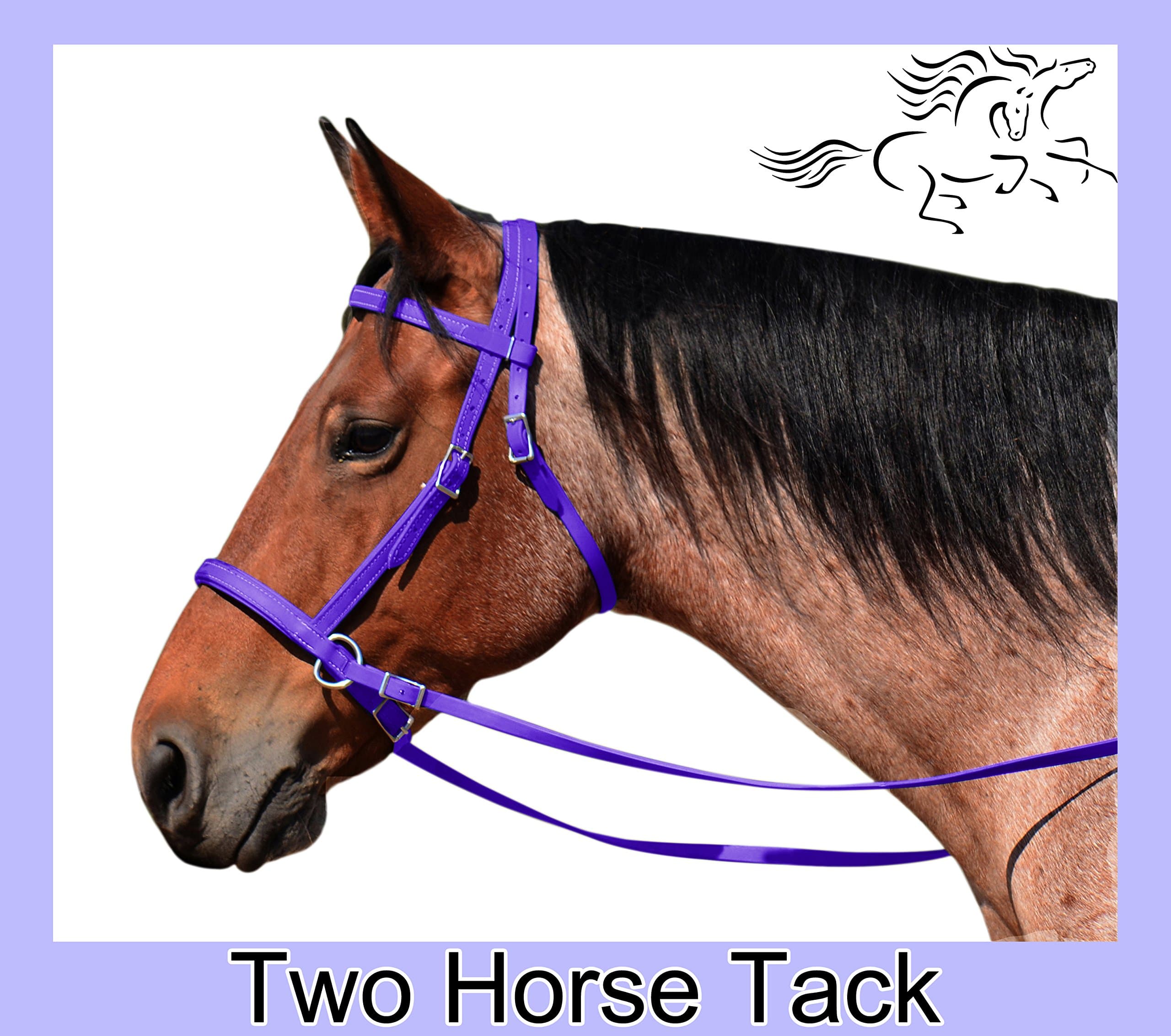 Bitless Bridle & Reins, 2 in 1 Style, Made From Beta Biothane - Arab Size, Purple Color
