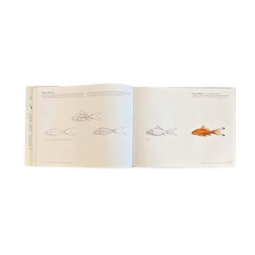 Science of Creature Design: understanding animal anatomy