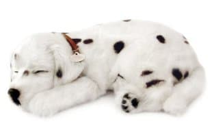 Perfect PetzzzDalmation Animated Pet