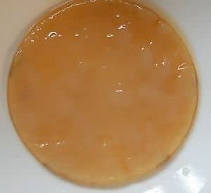 Organic Kombucha SCOBY - Various Sizes (10cm / 4 inches)