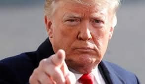 Regular Premium Posture Support - Unisex Posture Corrector For Women & Men - Chest, Shoulder & Lower Back Support Improve Bad Posture, Better Relief Via Natural, Adjustable Comfortable Straps