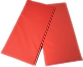 Gym Mat - Crash Mat - Exercise Mat (5ft x 3ft x 2in) - British made (Red)