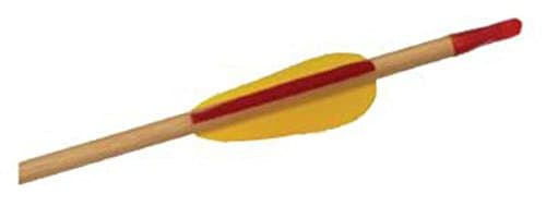 28" WOODEN TARGET ARROWS 10PK