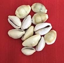 Hari Har Exim Peeli Kaudi Yellow Color Natural Stone (Pack of 21)