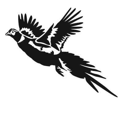 Express Yourself Pheasant in Flight Decal Sticker - Upland Game Bird Collection