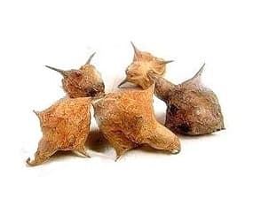 GOKHRU BADA गोखरू बड़ा 100 Gms