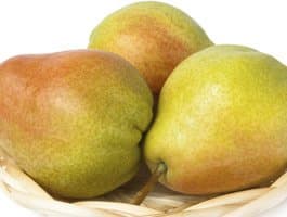 5lb Colossal Comice Pear Fruit Box
