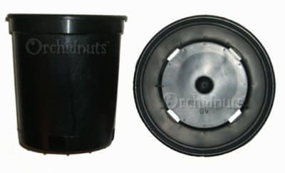 1 Gallon Orchid Flower Heavy Black Plastic Pot - 10 Pack