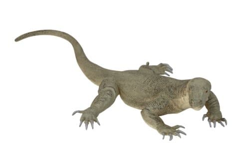 Ravensden Lifelike/Realistic Plastic KOMODO DRAGON/LIZARD Toy - 33cm
