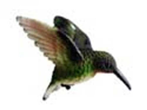 Clark CollectionCC52033 Ruby Throated Hummingbird Window Magnet Hummingbird Fly Thru Window Ornament