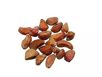 Rose rainbow (Dragon rose) - 20 seeds