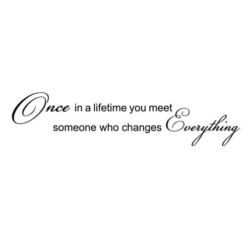 Once in a lifetime you meet someone who changes everthing Vinyl Wall Decal Sticker Quote (22" Wide 5.7" High) Matte Black