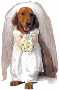 Pet Wedding Bride Dog Costume (Size: X-Small)