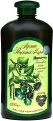 Shampoo Birch Buds and Burdock Oil for Dry and Normal Hair, 600 Ml (World Best Recepies)