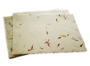 Handmade Printable Ivory with Aster Petals Paper (Deckled) Set of 50 Letter Size (8.5" x 11")