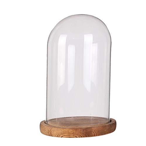 Siyaglass Decorative Clear Glass Cloche Bell Jar Display Case with Rustic Wood Base Tabletop Centerpiece Dome (4.7X6.2 inch)