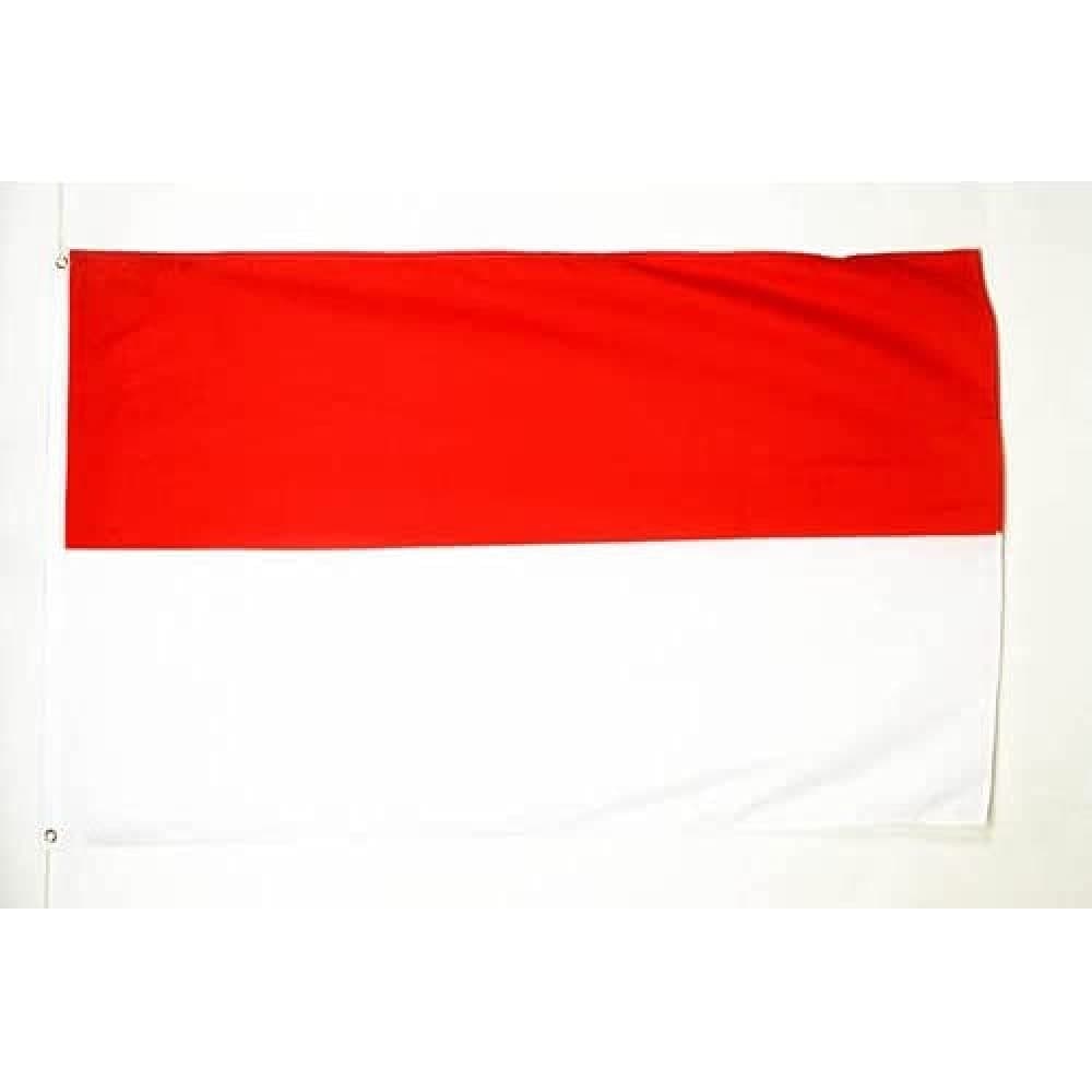 AZ FLAG - Indonesia Flag - 2x3 Ft - Light Polyester Indonesian Banner with Two Brass Eyelets - Fade Resistant - Vivid Colors - 2' x 3' Feet - 90x60 Cm
