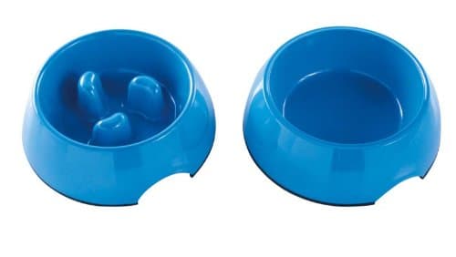 Whoa Buddy! Bowl with Bonus Water Bowl - - Size M