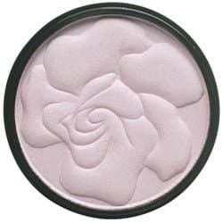 Makeup Blushing Pink Floral Shimmer .35 oz.