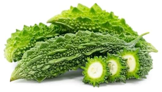 Kejora Fresh Gourd Bitter Melon/Indian Bitter Melon (6)