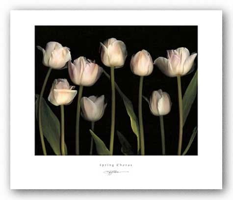 Spring Chorus by S.G. Rose 20"x16" Art Print Poster