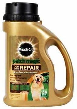 Ideal Miracle Gro Patch Magic Dog Spot Repair Neoteric Design