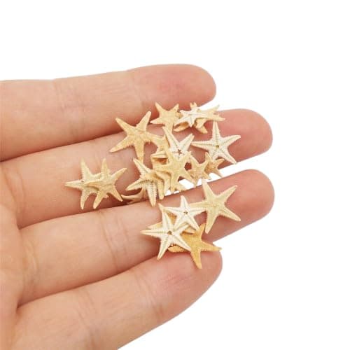 Julie Wang 20PCS 0.2-0.5 inches Tiny Small Miniature Natural Starfish Micro-Landscape Beach Wedding Nautical Ornament Shells Resin Craft DIY Vase Filler Size 0.5-1.5cm