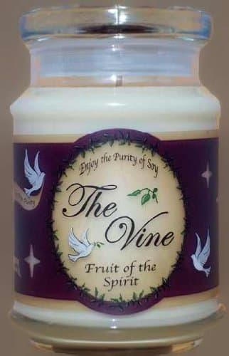 The Vine Candles Vanilla Bean Shower Gel