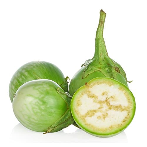 Seedline Thai Round Eggplant Seed (250 seeds) - Herb Heirloom Vegetable