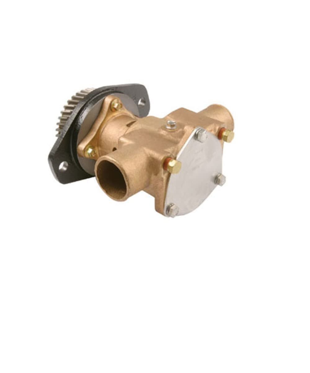 PUMP-CUM#3922590,3964764 +MORE