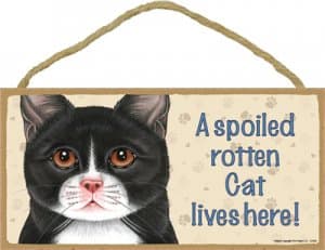 Cat Lover Gift - Black and White Cat Plaque - Spoiled Rotten 5" x 10"