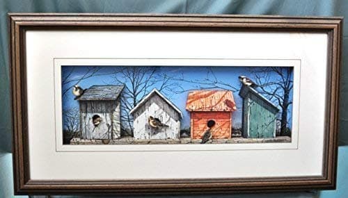 Country Birdhouses in 3D