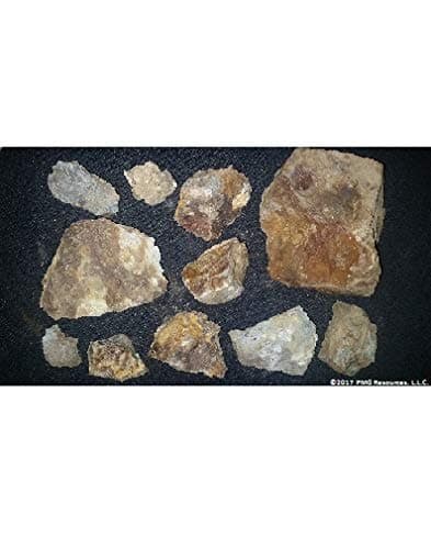 2 LB Genuine Colorado Gold Ore