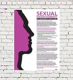 Algra Corporation Sexual Harassment Poster (12" x 16")