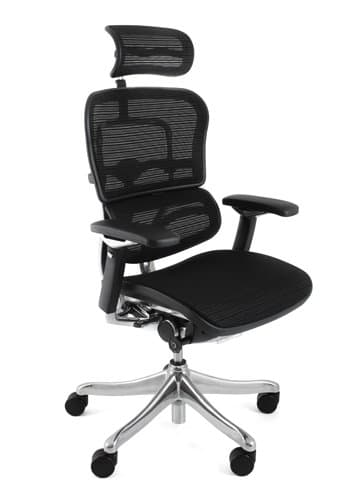 Ergohuman Plus Luxury Mesh Office Chair with headrest