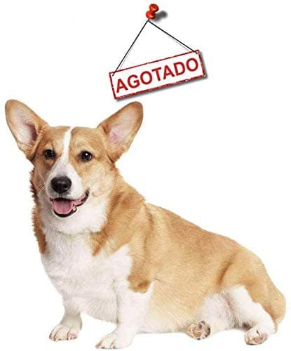 chengJellyLibrary 10/30/50Pcs PM2.5 Activated Carbon Filter, 5 Layers Replaceable Anti Haze Filters, Protective Mouth Filter for Outdoor (4 Layers 50 PCS)