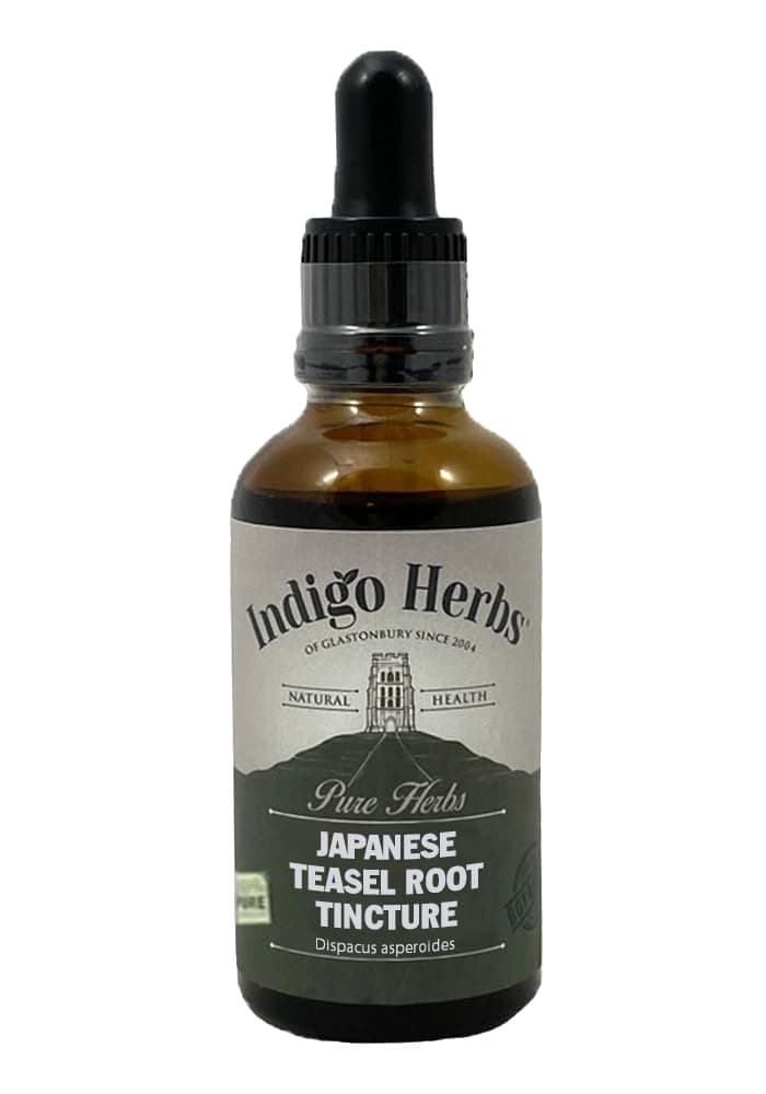 Indigo Herbs Japanese Teasel Tincture 50ml
