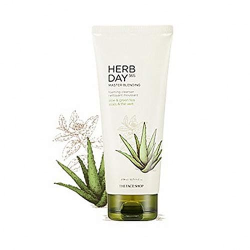 Herb Day 365 Cleansing Foam ALOE