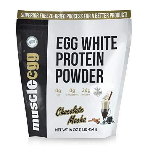 Premium MuscleEgg Protein Powder from Egg Whites (1 Pound) … (Chocolate Mocha)