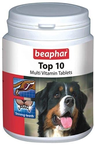 Bephar Top 10 Best Multivitamin Tablets for Dogs by Pawsitively Pet Care - 160 Tabs (Pack of 2(320 Tabs))
