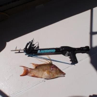 3210 Bandito Pistole Speargun