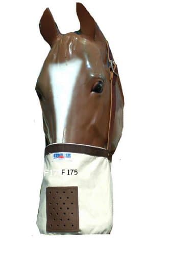 Canvas Feed Bag with Leather Straps and Bottom