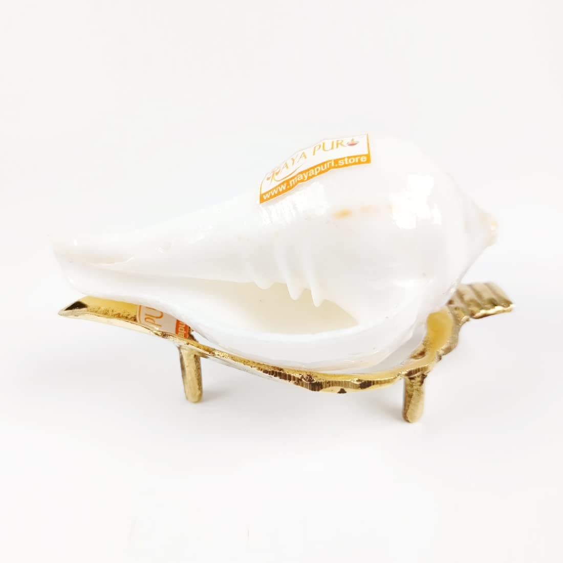 Original Non-Blowing Authentic Puja Jal Shankh with Brass Sankh Stand, Pooja Jal Shankha, Jani Wala Shankh, Size Small Approx 3 inches (Pack of 1 Set)