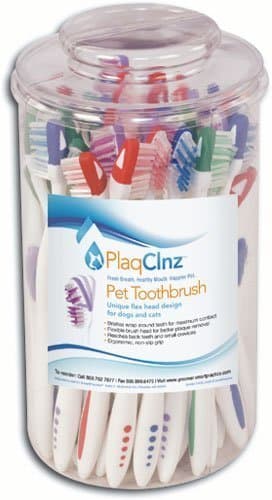 PlaqClnz Pet Toothbrushes 48 pc w/ Display Canister