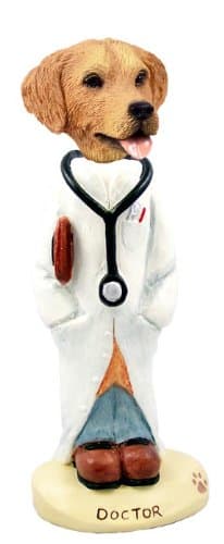 Golden Retriever Doctor Doogie Collectable Figurine