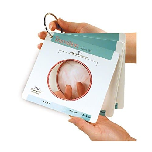 Labour Dilation Progress Pocket Guide Cards - Teaching Aid for Midwife or Parent Information
