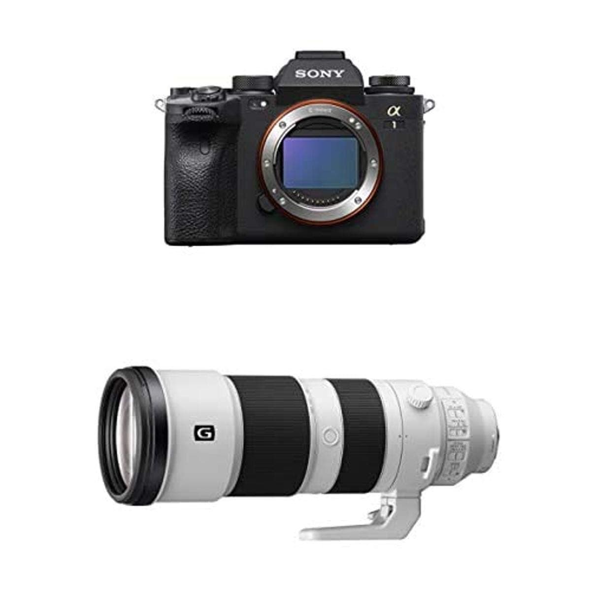 Sony Alpha 1 Full-Frame Interchangeable Lens Mirrorless Camera with Sony FE 200-600mm F5.6-6.3 G OSS Super Telephoto Zoom Lens (SEL200600G)